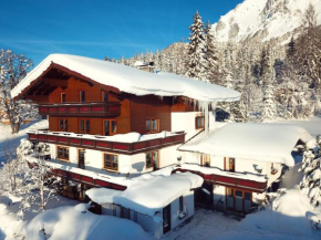 Отель Pension Dachsteinhof  Рамзау-Ам-Дакстайн